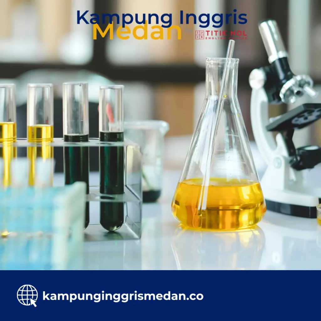 undergraduate degree adalah